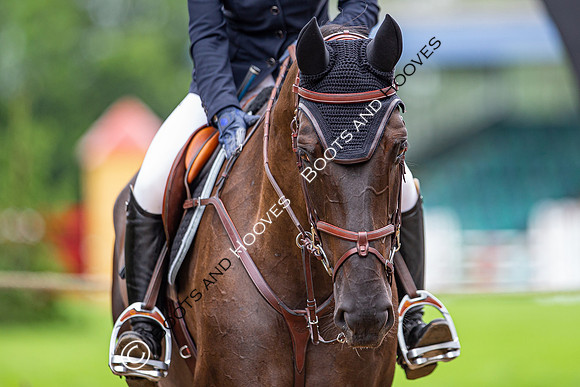 The Al Shira'aa Jumping Championships