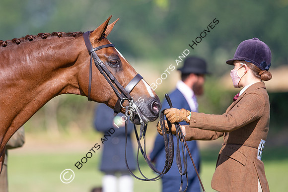 The Al Shira'aa Jumping Championships