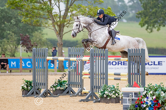 The Al Shira'aa Jumping Championships