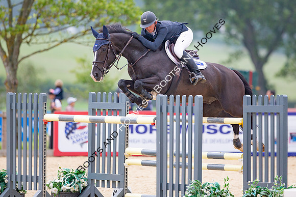 The Al Shira'aa Jumping Championships