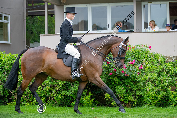 The Al Shira'aa Jumping Championships