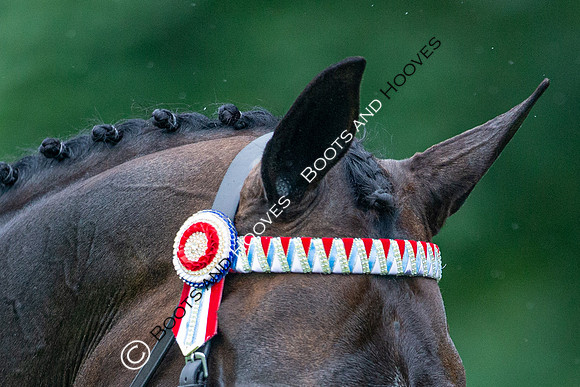 The Al Shira'aa Jumping Championships
