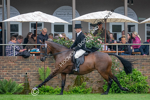 The Al Shira'aa Jumping Championships