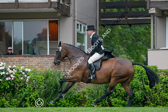 The Al Shira'aa Jumping Championships