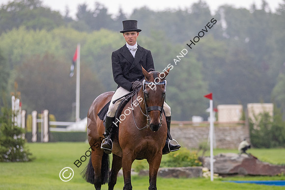 The Al Shira'aa Jumping Championships