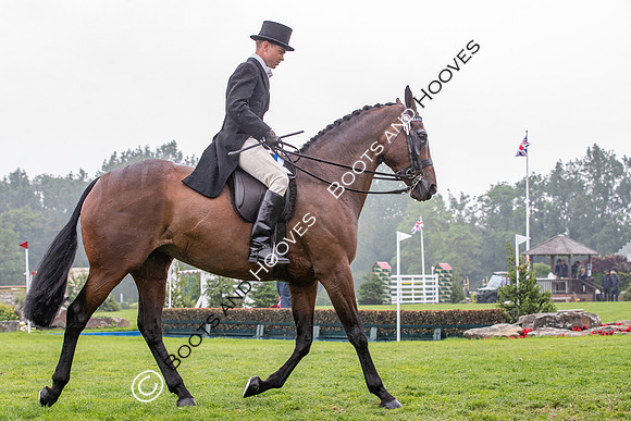 The Al Shira'aa Jumping Championships