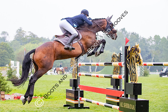 The Al Shira'aa Jumping Championships