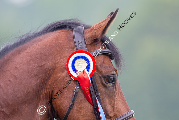 The Al Shira'aa Jumping Championships