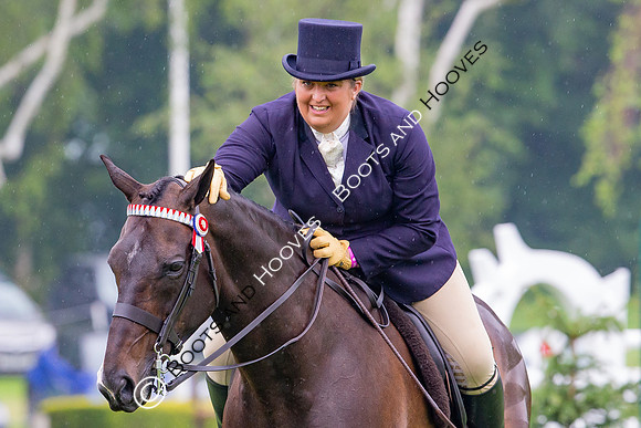 The Al Shira'aa Jumping Championships