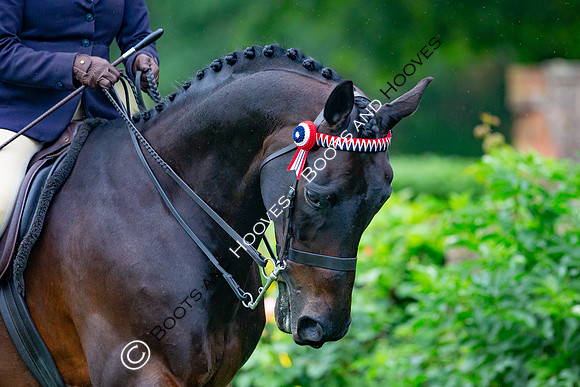 The Al Shira'aa Jumping Championships