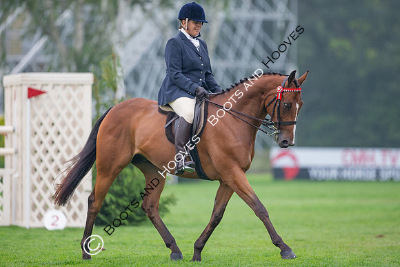 The Al Shira'aa Jumping Championships
