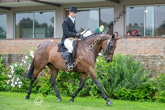 The Al Shira'aa Jumping Championships