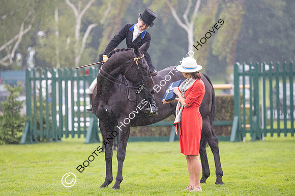 The Al Shira'aa Jumping Championships