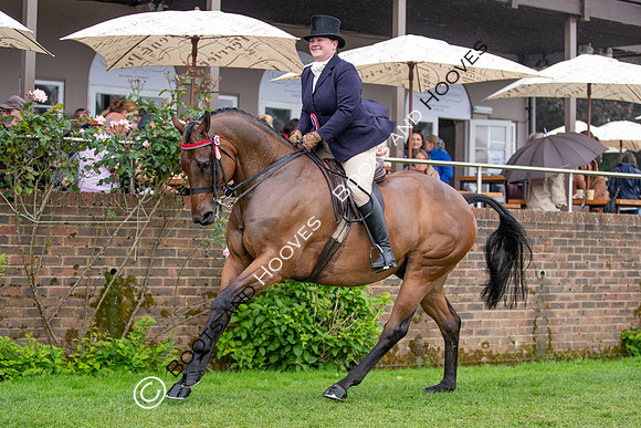 The Al Shira'aa Jumping Championships