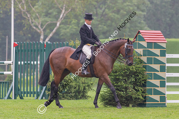 The Al Shira'aa Jumping Championships