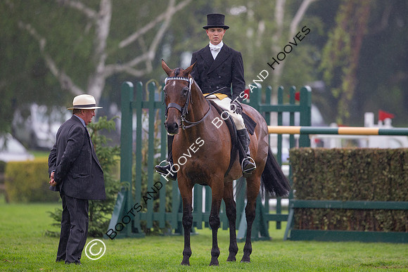 The Al Shira'aa Jumping Championships