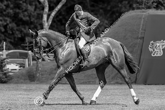 The AGRIA Royal International Horse Show