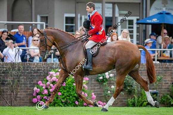 The AGRIA Royal International Horse Show