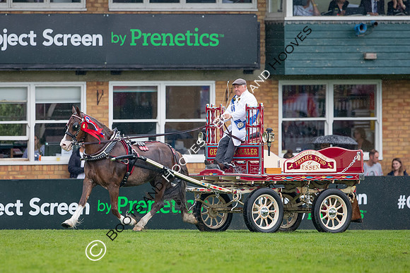 The Prenetics Royal International Horse Show
