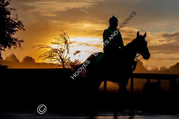 Newmarket