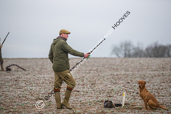 Dines Hall Game Shoot. 23/01/2019 ~ MANDATORY Credit Nick Gunn/Bootsandhooves - NO UNAUTHORISED USE - 07745 909676