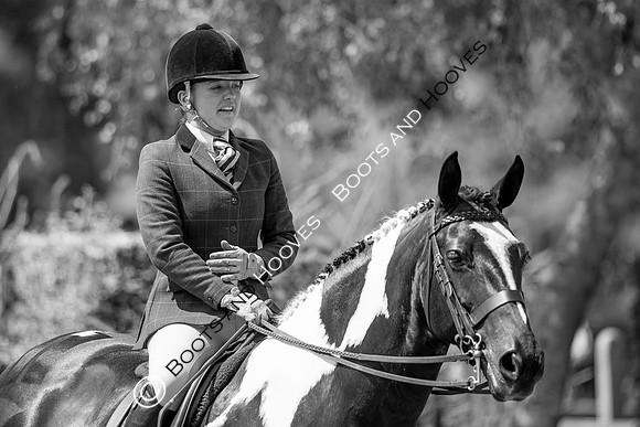 The Prenetics Royal International Horse Show