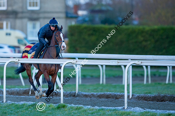 Newmarket Gallops