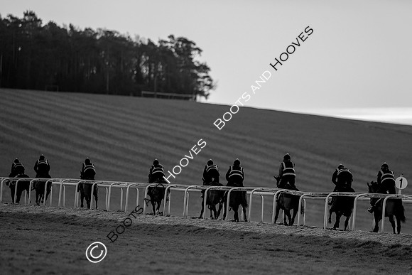 Newmarket Gallops