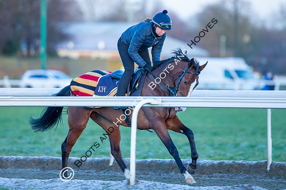 Newmarket Gallops