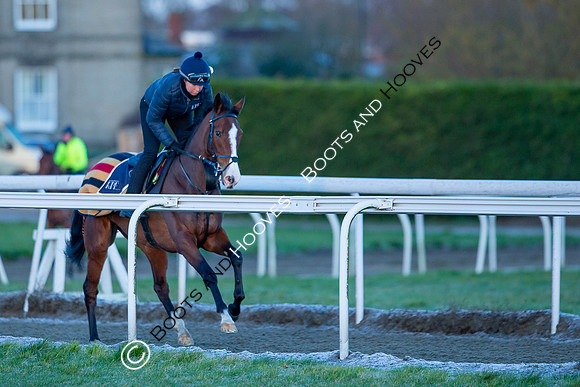 Newmarket Gallops