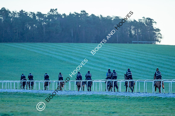 Newmarket Gallops