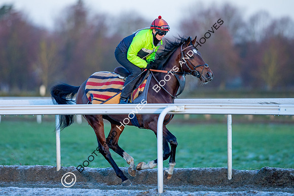 Newmarket Gallops