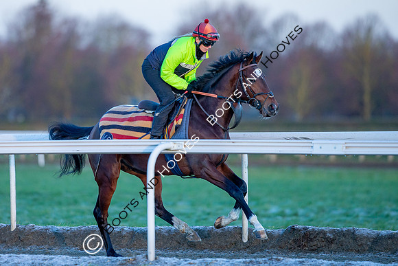 Newmarket Gallops