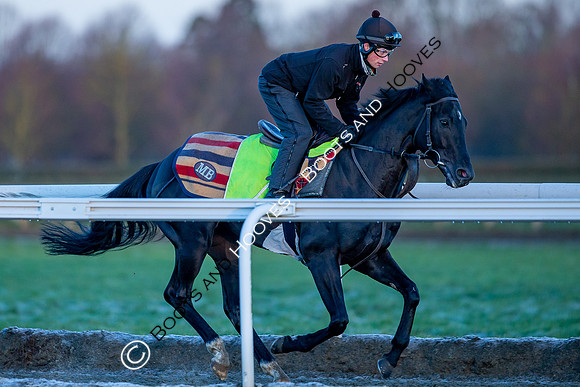 Newmarket Gallops