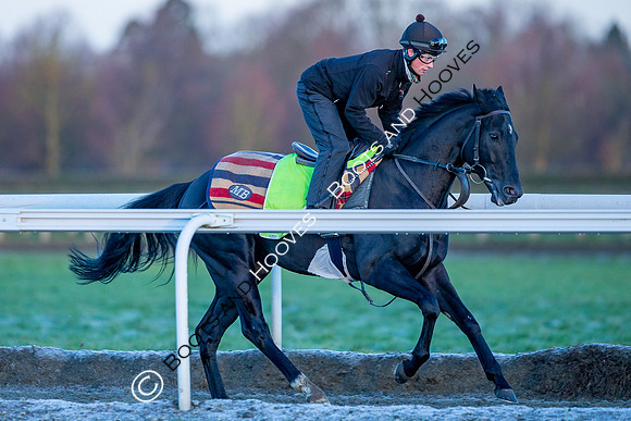 Newmarket Gallops