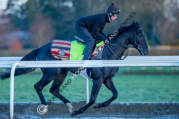 Newmarket Gallops