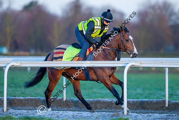 Newmarket Gallops