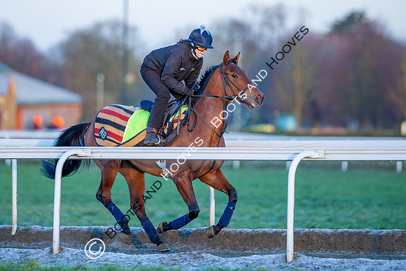 Newmarket Gallops