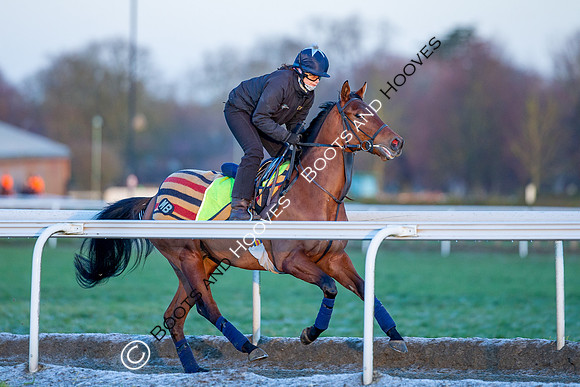 Newmarket Gallops