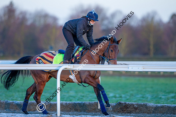 Newmarket Gallops