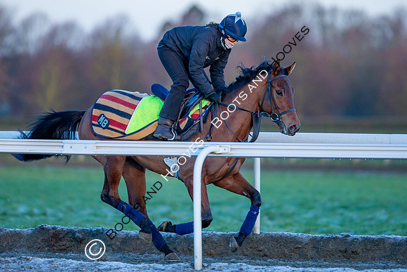 Newmarket Gallops