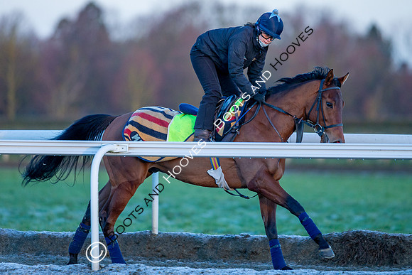 Newmarket Gallops