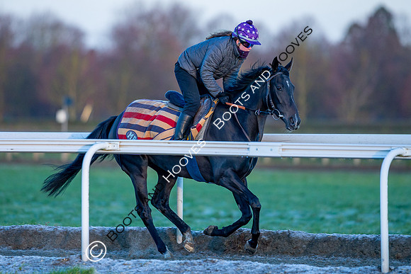 Newmarket Gallops