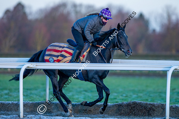 Newmarket Gallops