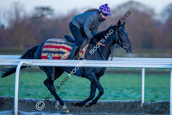 Newmarket Gallops
