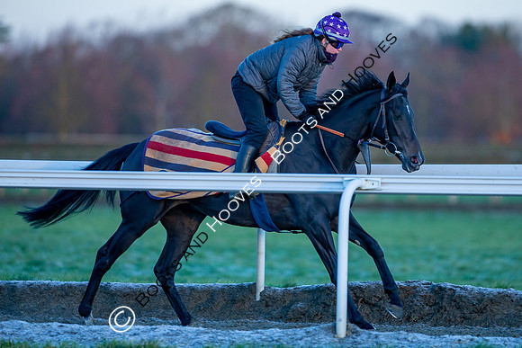 Newmarket Gallops