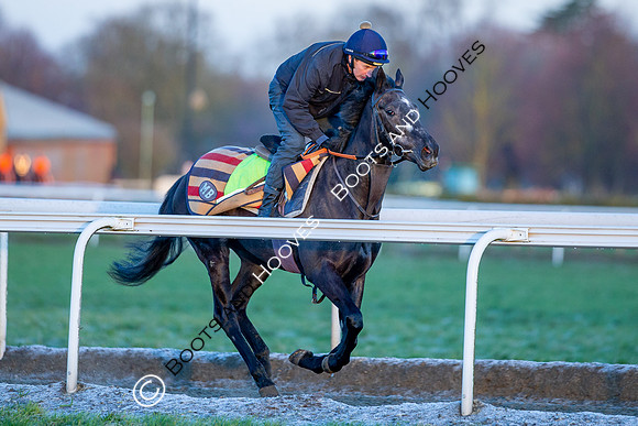 Newmarket Gallops