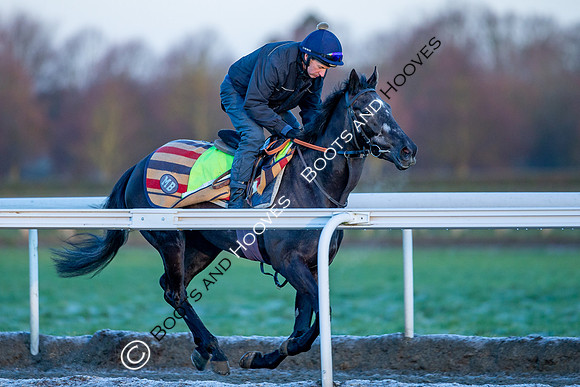 Newmarket Gallops