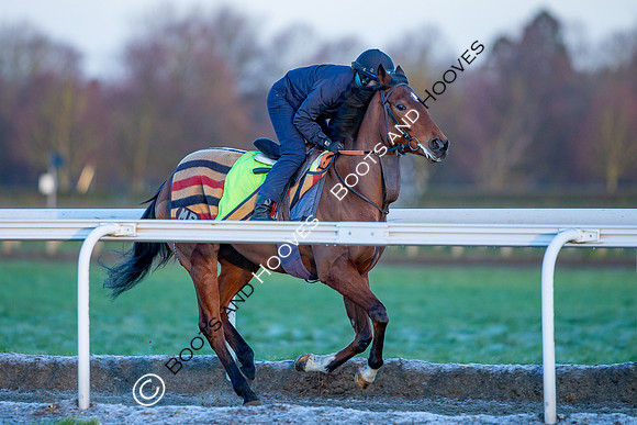 Newmarket Gallops