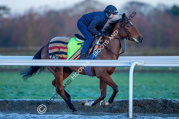 Newmarket Gallops